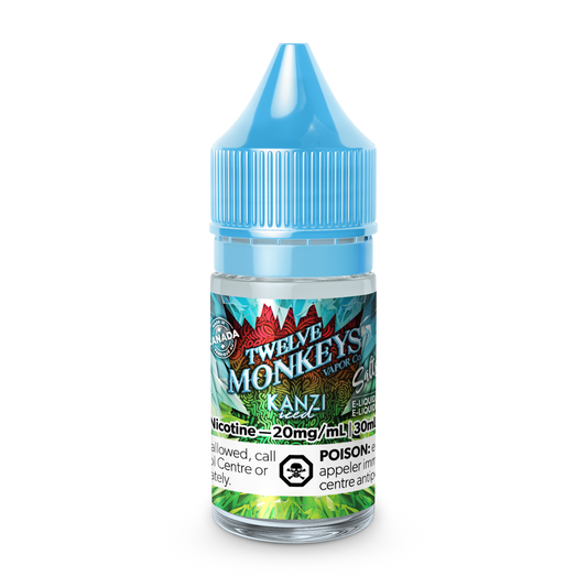 TWELVE MONKEYS ICE AGE SALT NIC 30ML JUICE