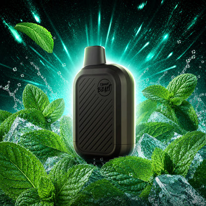 FLAVOUR BEAST 24K PUFFS
